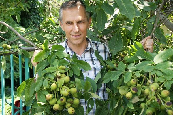 l'homme dans l'arbre