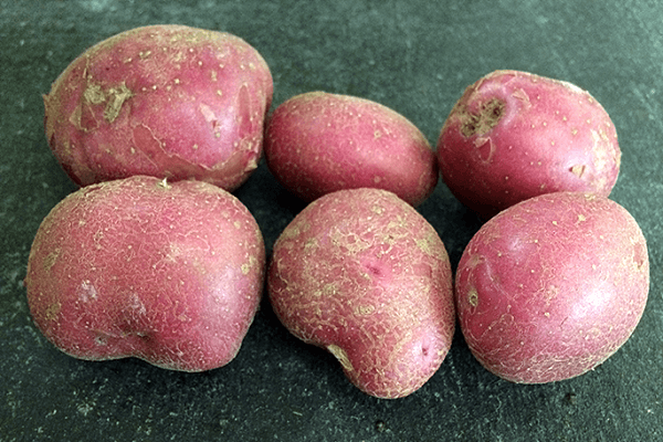 fruits de légumes