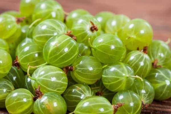 variétés à fruits verts