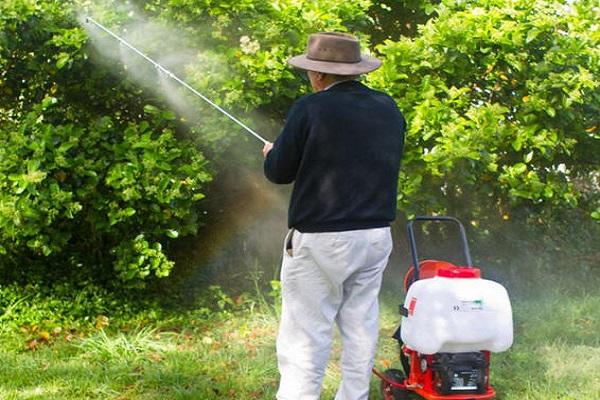  lutte contre les insectes