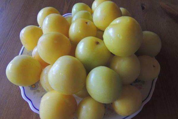 ciruela cereza en un plato