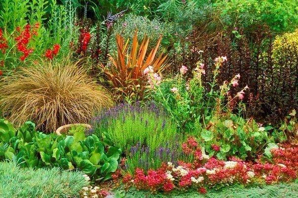 greenhouse flowers