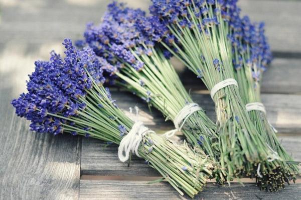 bouquets of lavender