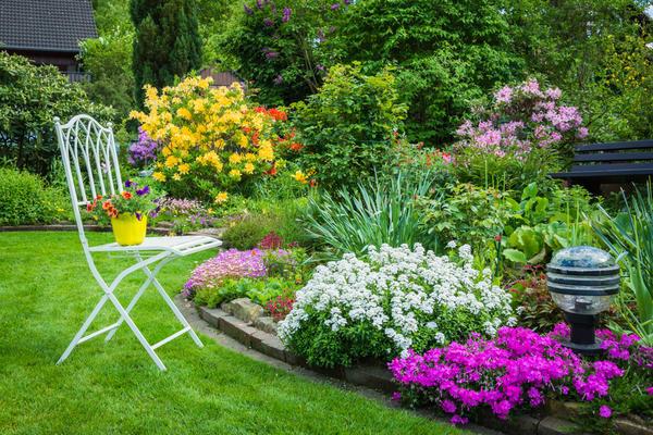  flores en el jardin