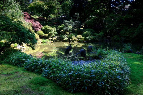 luz de la luna del jardín