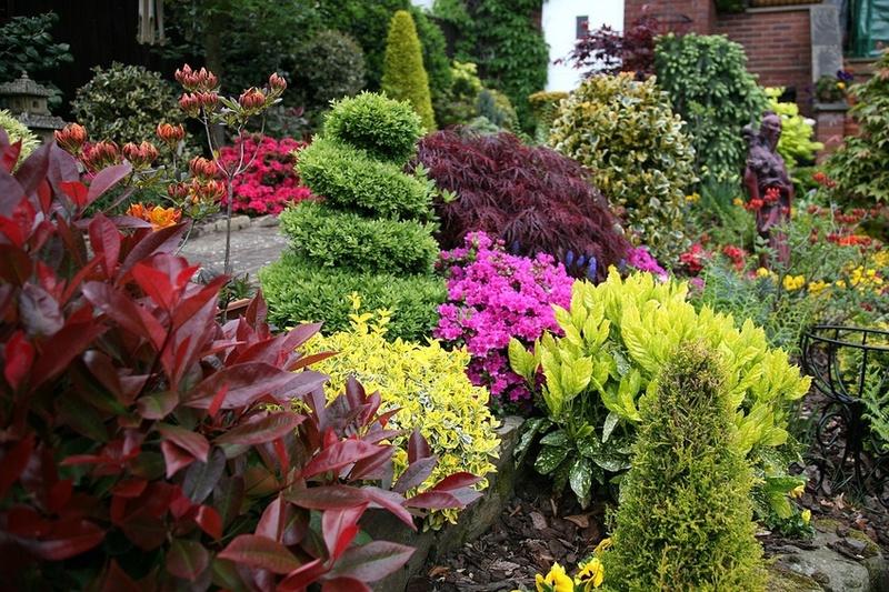 beau jardin de fleurs