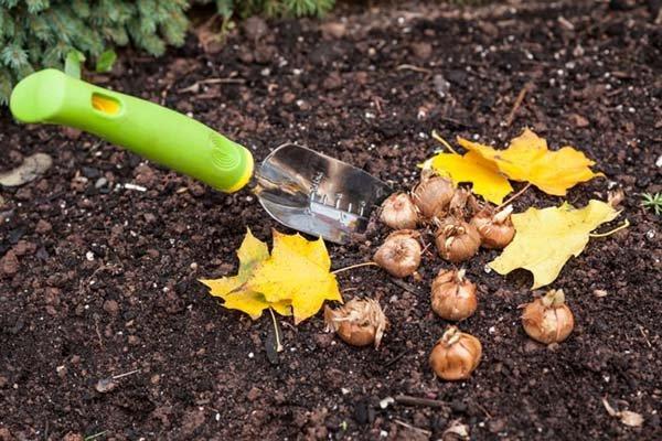 plantando flores