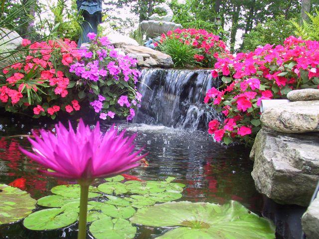 beautiful view with flowers