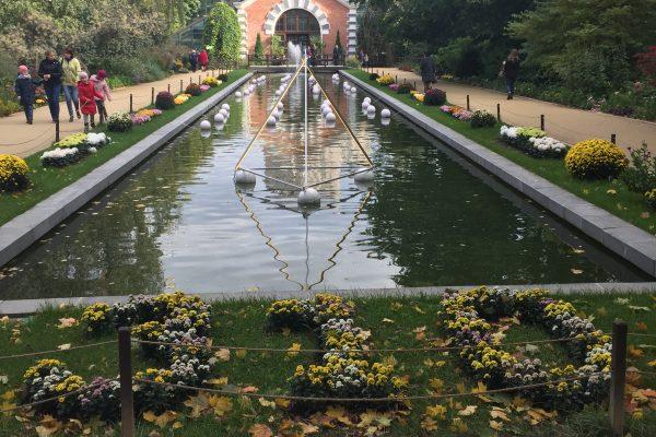 flores en el jardin