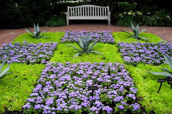 diseño de cama de flores