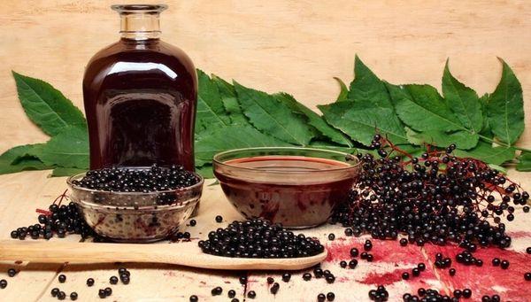 elderberry