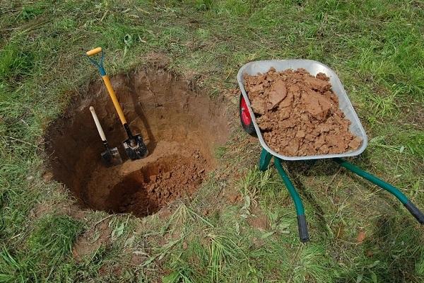 preparing the soil