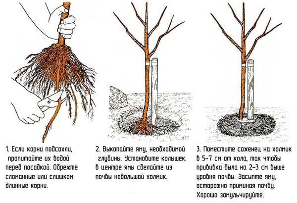 modèle d'atterrissage