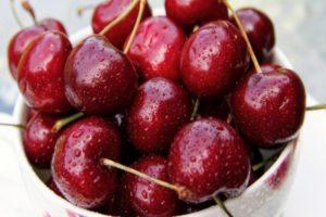 Características y descripción de las variedades de cereza Vasilisa, plantación y cuidado.