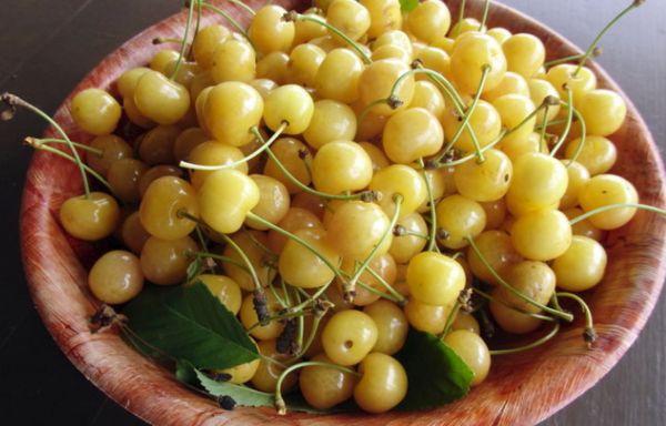 bowl with cherries