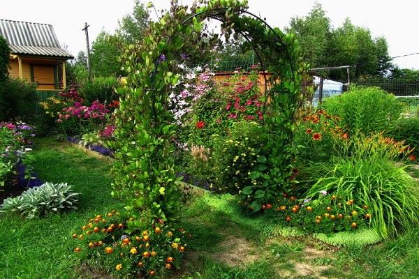 arc de fleur