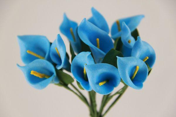 Lys Calla Bleu