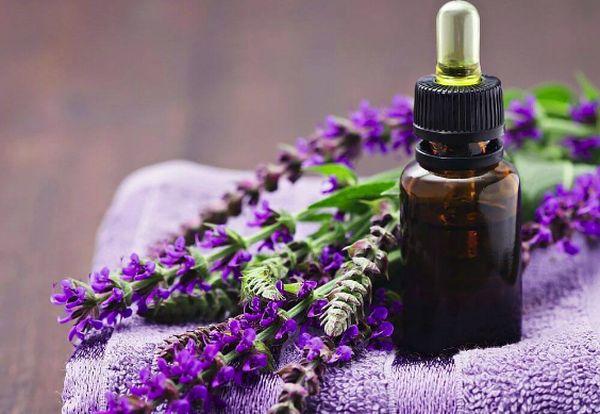 lavender oil