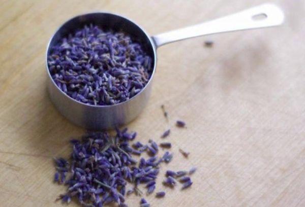 semillas de lavanda