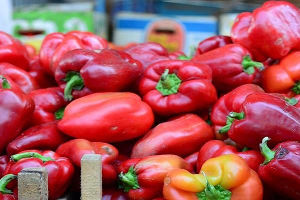 Novorossiysk sur le marché