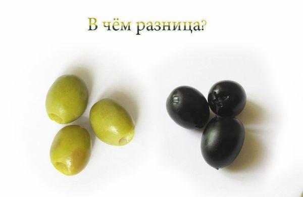 Diferentes aceitunas