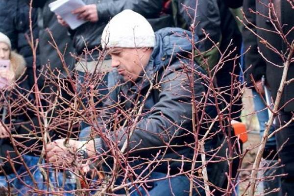 travailler pour la récolte