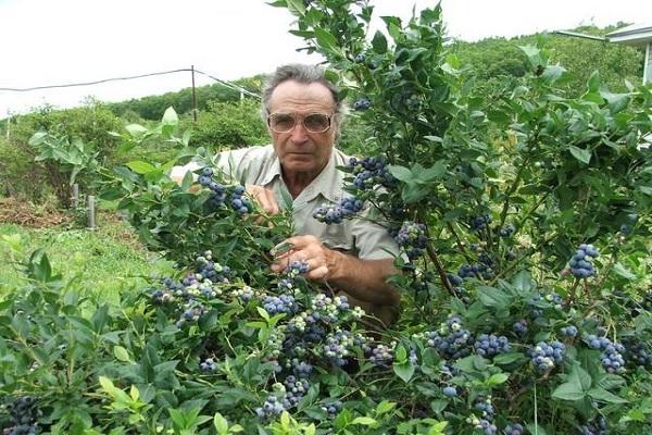 pensionista en el campo