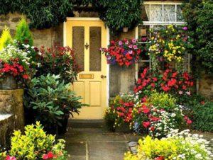 Planter, cultiver et entretenir une fleur Vanka Wet à la maison