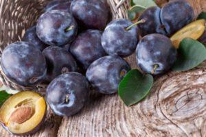 Why plum fruits have worms and how can it be processed