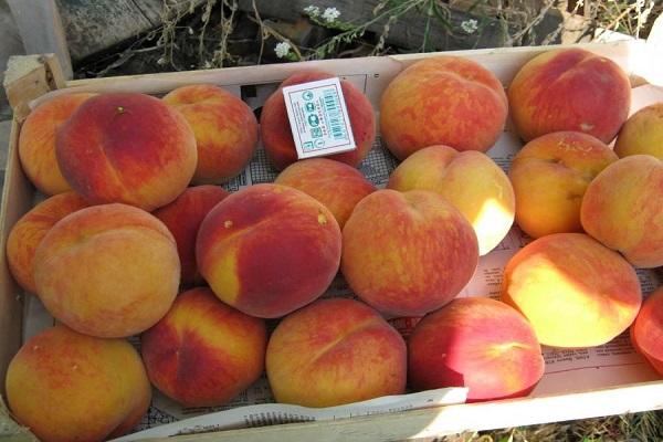 caja de frutas