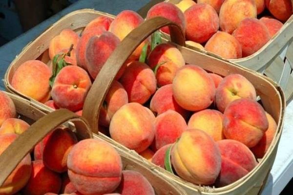 fruit baskets