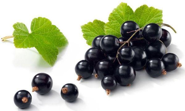 Currant berries