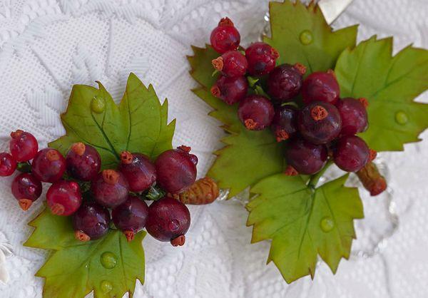 Ribes rojo