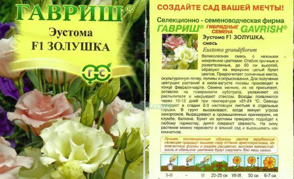 Eustoma Cendrillon