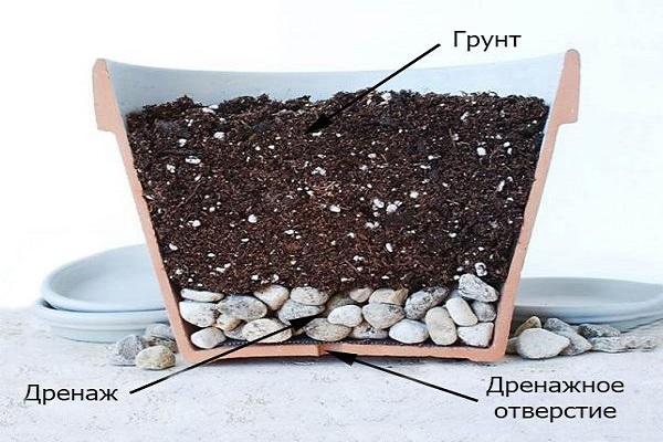 pot diagram