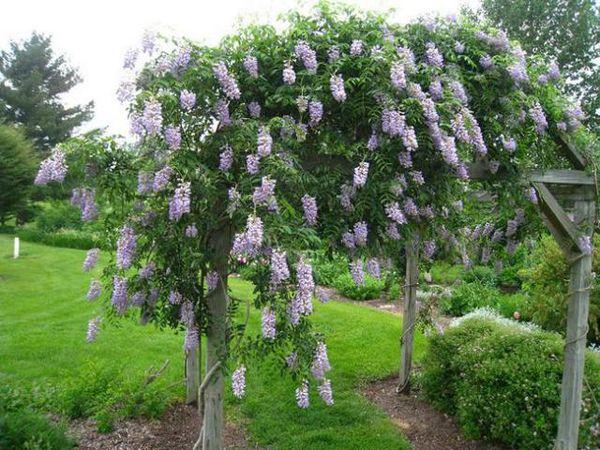 tree with flowers