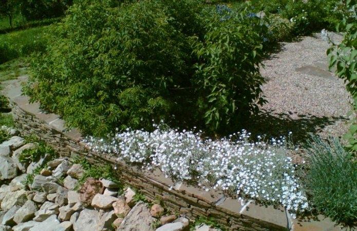 hermosa cama de flores