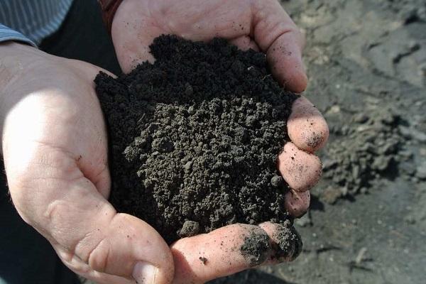 soil preparation