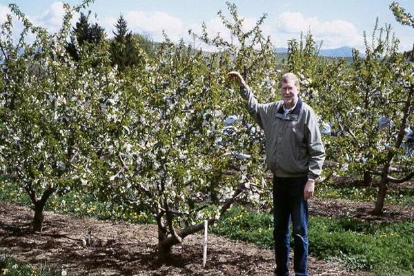 homme près de l'arbre