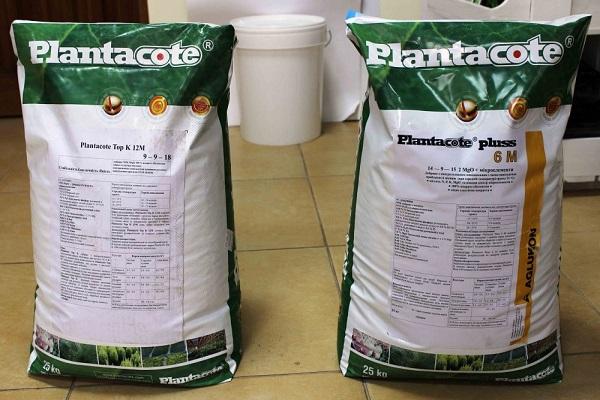 fertilizer Plantacote