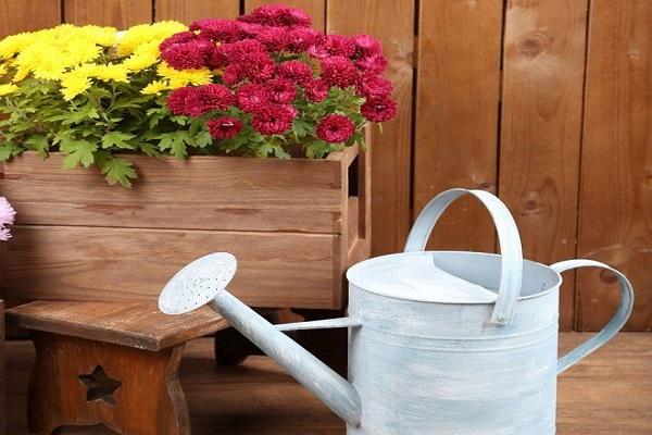 watering can