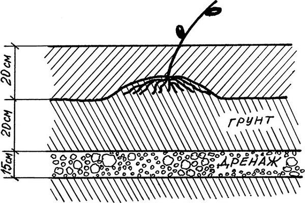 landing according to the scheme