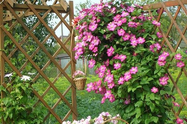 décorations dans le jardin