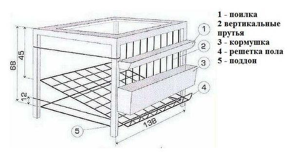 Tipos de celdas