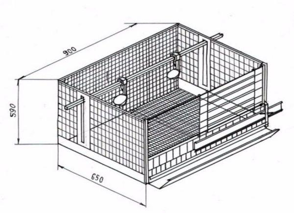 Cage dimensions