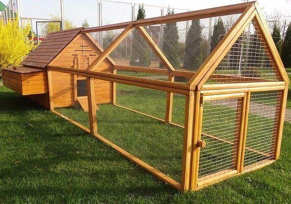 summer chicken coop