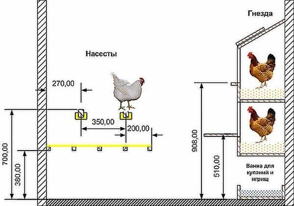 dibujo de gallinero