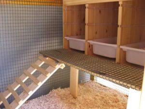 How to make roosts for chickens with your own hands, options and sizes