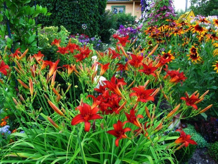 parterre de fleurs