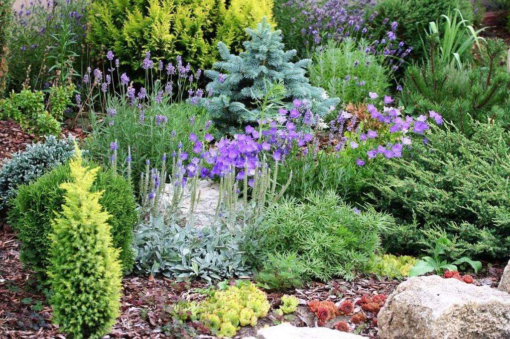 parterre de fleurs